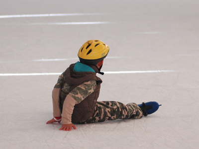 Το ΣτΕ ακύρωσε την κατασκευή παγοδρομίου στο Πολύδροσο