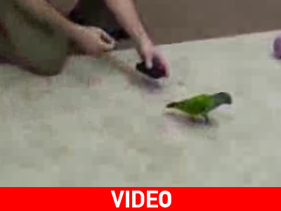 20 τρυκ σε 2 λεπτά