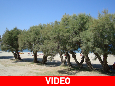 Περπάτησε ξανά μετά από 12ωρη χειρουργική επέμβαση