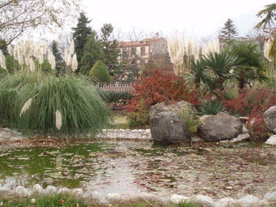 «Ζώα» σούβλισαν ζωντανές τις πάπιες