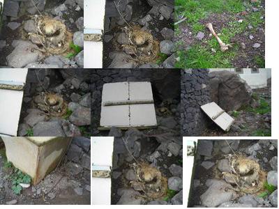 Άφησε τα ζώα του να πεθάνουν από ασιτία