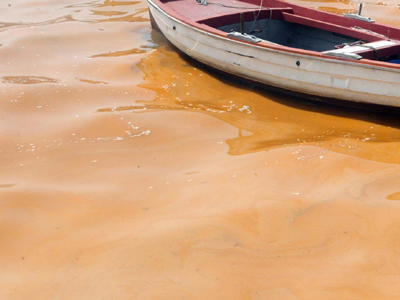Εντοπίστηκε κηλίδα στον Μισισιπή