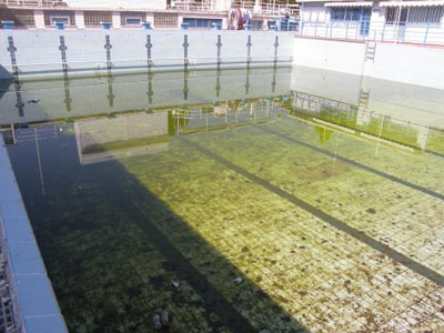 Εγκατέλειψαν το «Φιλίππειο» Δημοτικό Κολυμβητήριο Καβάλας