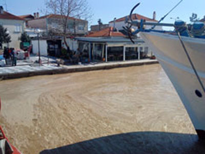 Το πλαγκτόν «απειλεί» την αλιεία