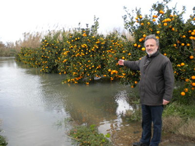 Το νερό του φράγματος «έπνιξε» τα χωράφια στο Λευκοχώρι Ηλείας