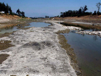 Αναζητούσαν πτώμα και βρήκαν σκύλο