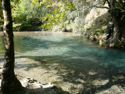 Εντόπισαν τα οστά ενός αγνοούμενου στο Άγιο Όρος
