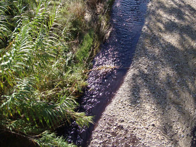 Θάβουν επικίνδυνα απόβλητα στον Αργολικό κάμπο