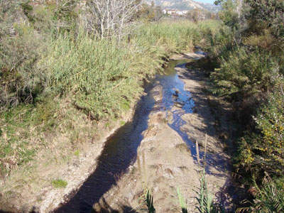 Μολύνουν τον ποτάμο Κλαδέο