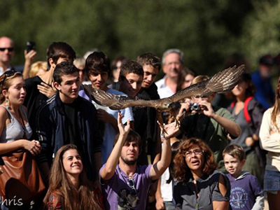 Απελευθέρωσαν πουλιά, χελώνες και σκαντζόχοιρους