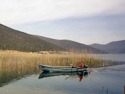 Λέμε «ναι» στον εθελοντισμό με το WWF για φτηνές διακοπές!