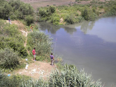 Ψαρεύουν «δηλητήριο»