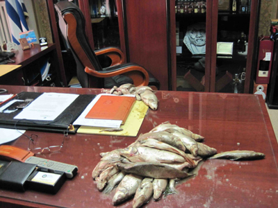 Τα νεκρά ψάρια του Αλιάκμονα