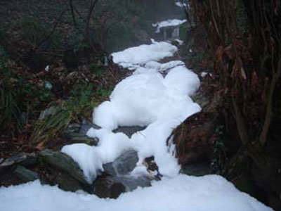 Πετάνε τα λύματα στο ρέμα