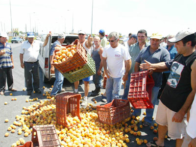 Συνεχίζουν τις κινητοποιήσεις οι ροδακινοπαραγωγοί της Πέλλας