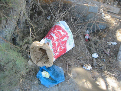 Πέταξαν κι άλλα κουτάβια στα σκουπίδια!