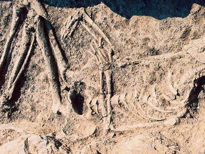 Μαφιόζικη μεθοδολογία