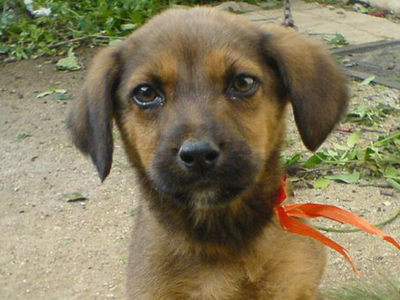 Μήπως το χάσατε;