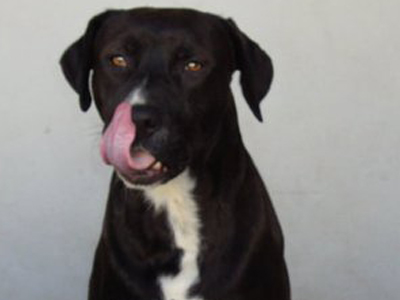 Και ο Dark χαρίζεται!