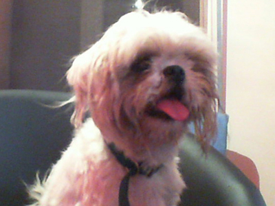 Τον παράτησαν δεμένο στο παγκάκι!