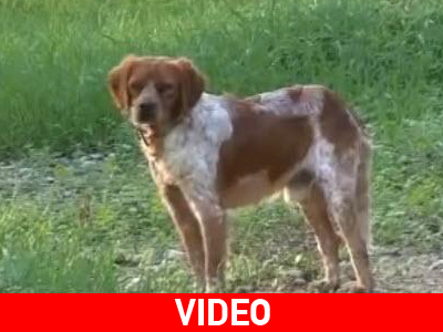 Τον πυροβόλησαν για πλάκα