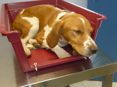 Το έσπασαν στο ξύλο