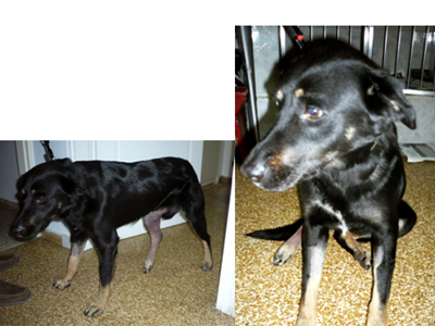 Μήπως τον χάσατε;