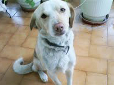 Μήπως την χάσατε;