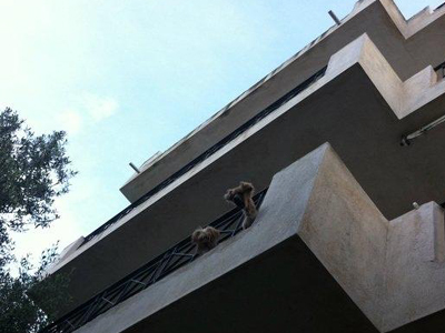 Βρέθηκαν σκελετωμένα σε διαμέρισμα