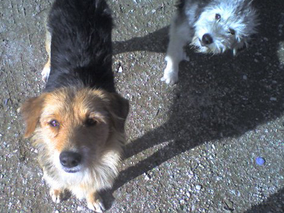 Χαρίζονται τα μέλη της «κλίκας»