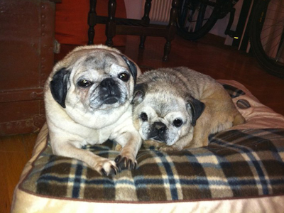 Χρειάζονται την ανθρωπιά μας