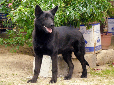 Εξαφανίστηκε και την αναζητούν