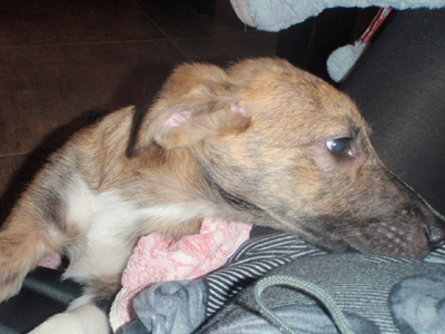 Το έχασαν στους Αγίους Αναργύρους