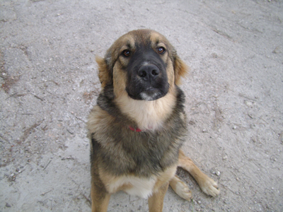 Ο Μπεν και ο Αντρέ ψάχνουν σπίτι