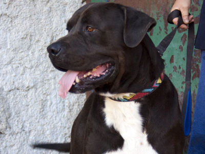 Και ο Άρης ψάχνει σπίτι