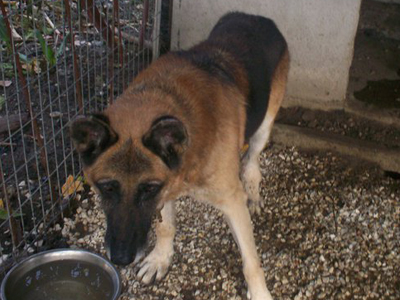 Στον Αχιλλέα αξίζει μια δεύτερη ευκαιρία