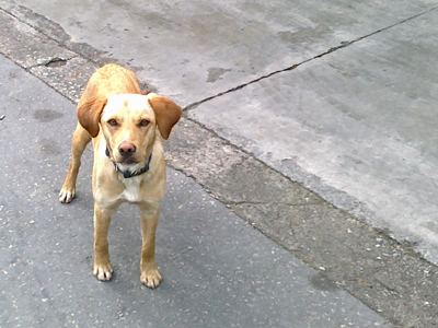 Βρίσκεται στο Κρυονέρι, μήπως την θέλετε;