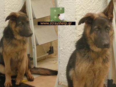 Του αξίζει μια φιλόξενη αγκαλιά