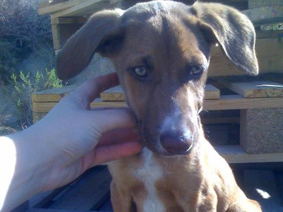 Κούκλος μοναχούλης χαρίζεται…