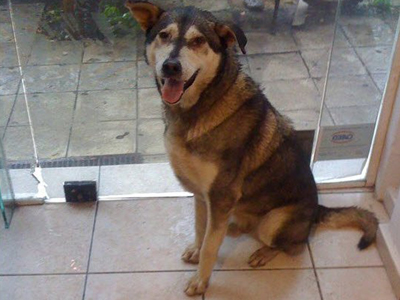 Βρέθηκε στην Πάτρα