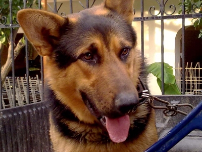 Ψάχνουν τον Σπύρο τους