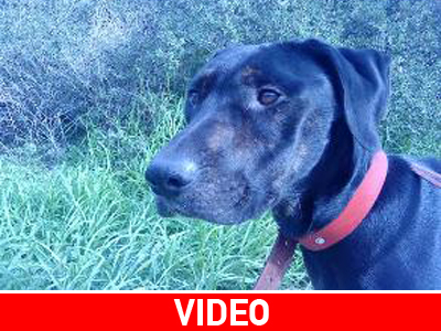 Ο ανάπηρος Στηβ ψάχνει οικογένεια με ευαισθησίες