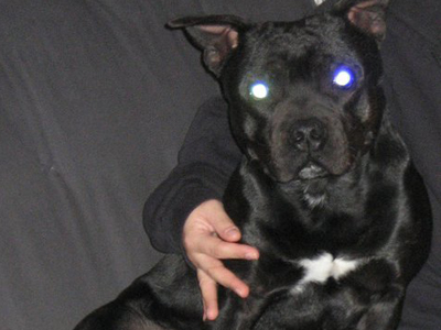 Έχασε και αναζητεί τον Τζακ