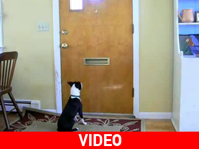 Γιατί εφευρέθηκε το e-mail;