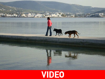 Μαζέψτε τα περιττώματα του σκύλου σας!