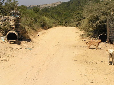 Δύσκολος ο αγώνας, αλλά με δύο σοβαρές νίκες