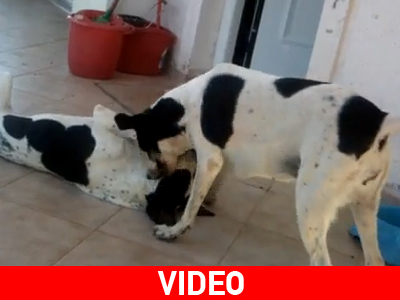 «Περνάει υπέροχα μαζί μας»