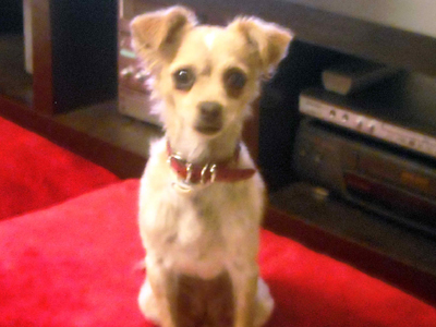 Το έχασαν στα Βριλήσσια τον Οκτώβριο