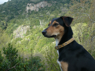 Δώστε μία ευκαιρία στην Μπέλλα