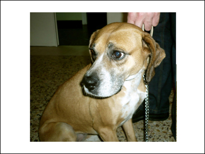 Τη βρήκαν στην Αγία Παρασκευή